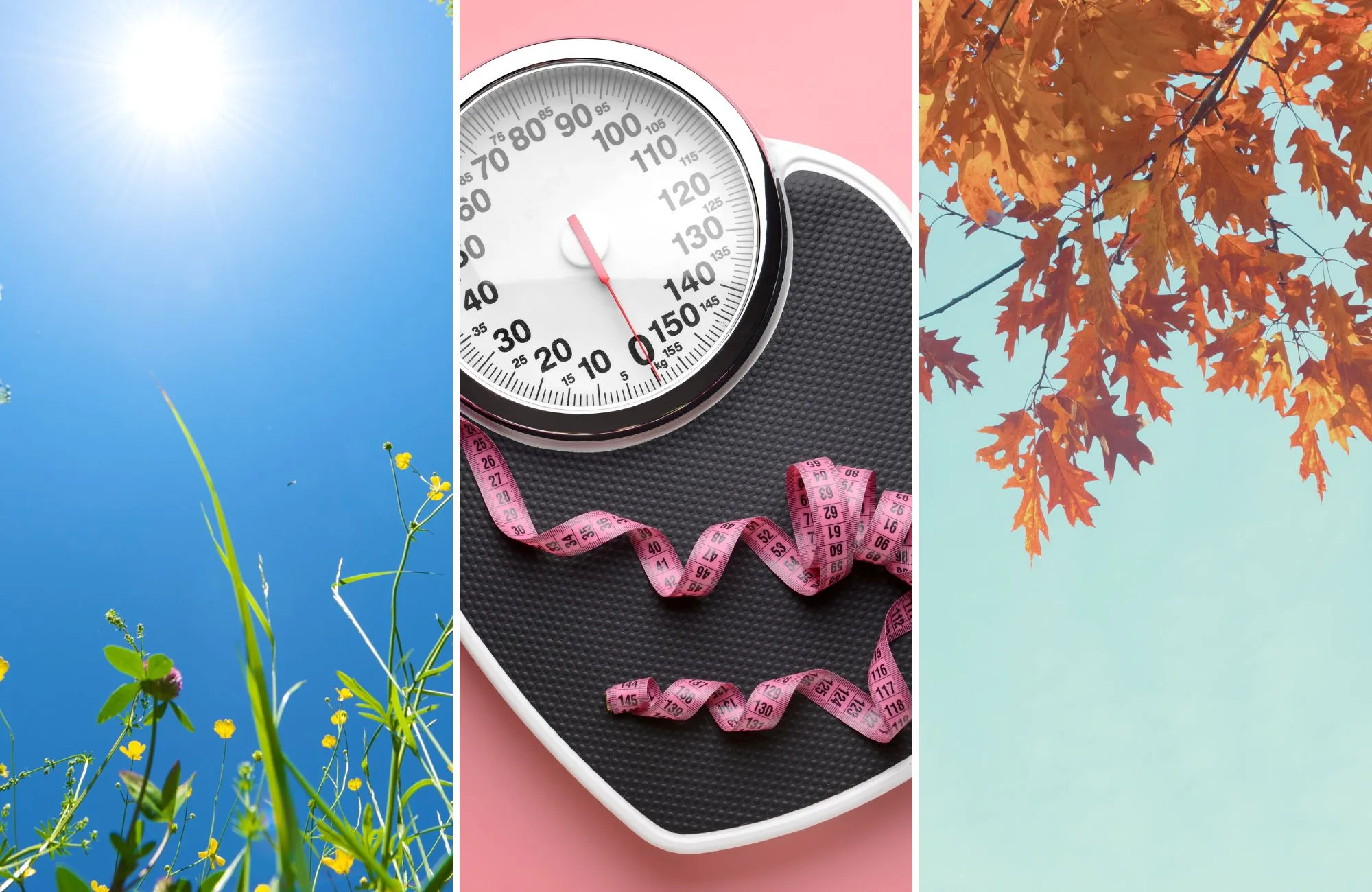 Three-panel image tracing the shift from summer to fall: sunlit wildflowers against a blue sky, a bathroom scale with a pink measuring tape, and orange oak leaves overhead.