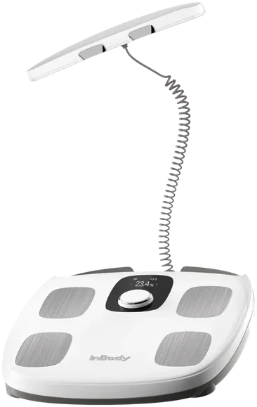 Free InBody H30 body composition scale included with membership