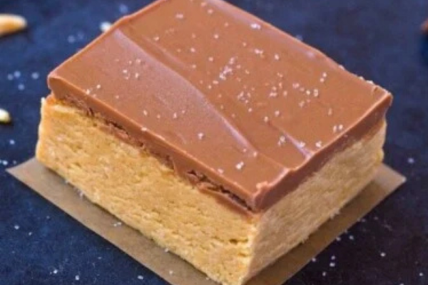 Protein Fudge